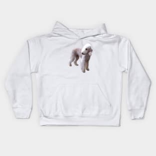 Bedlington Terrier Kids Hoodie